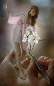 قطرات الندى