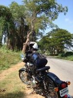 Suraj