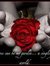 Harish