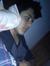 Cesar