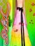 Falak