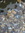 Lukerik | 98 comments
