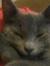 Binky
