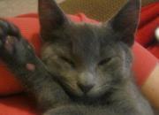 Binky
