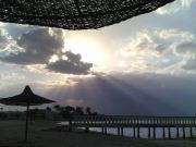 Maged