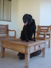 Ciro