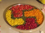 Rajashree