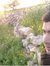 Adel