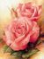 Syeda
