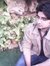 Abdul