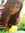 Kathlyn