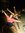 Ashlia | 1 comments