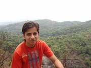 Chintu