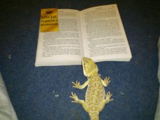 Wendy coling ( trowbridge)