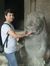 Ankur