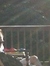 Darryn