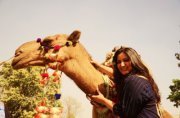 Bushra