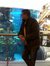 Yassin
