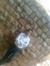 Seemant