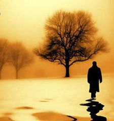 محمد إبراهيم