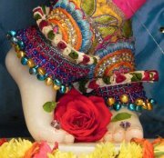 Sheshav