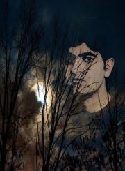 Ali