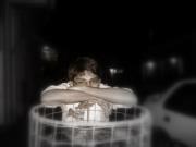 Vishvesh
