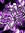 Zachary c C | 9 comments