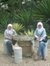 Hanifah