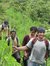 Dhaval