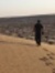 Tarek H...