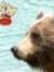 Steve H...