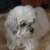 Camille