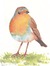 Robin