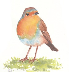 Robin