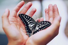 هآجر  الطيب