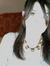 Flavia