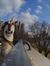 Gina