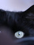 Beatrice C.