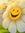 Razan