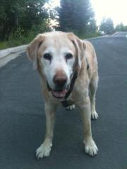 Jennifer