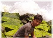 Vivek