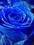 Aparna