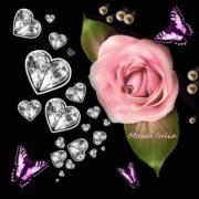 Anum