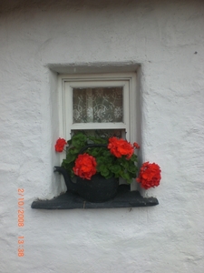 Patricia Joyce