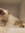 Zoe | 689 comments