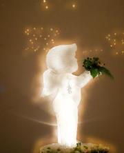 คืนหนึ่งที่ฝัน