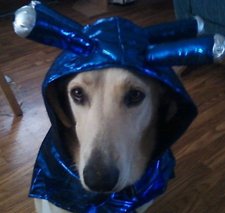 Mechepicasoyahoo.com