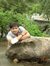 Amit