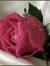 Ahlam